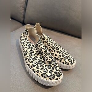 Ilse Jacobsen Leopard Tulip 139